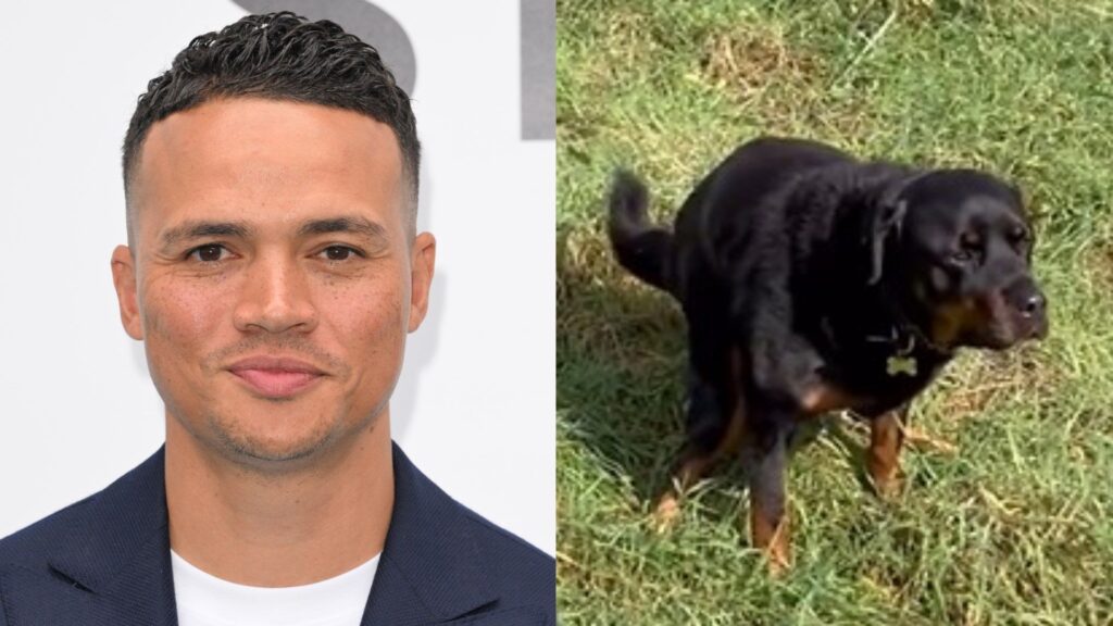 Jermaine Jenas & dog