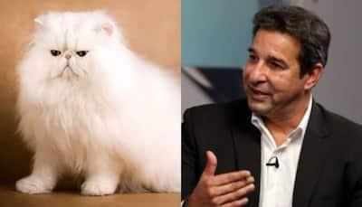 Wasim Akram’s Cat Grooming Mishap: A Haircut As Costly As An iPhone