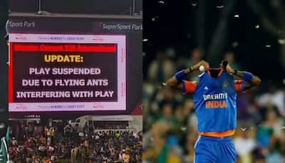 Flying Ants Stop Play: IND vs SA 3rd T20I Suspended For 30 Minutes, Viral Video Shows Bizarre Invasion - Watch