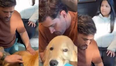 MS Dhoni, Daughter Ziva's Heartwarming Bond With Pet Dog Steals Hearts In Viral Video - Watch