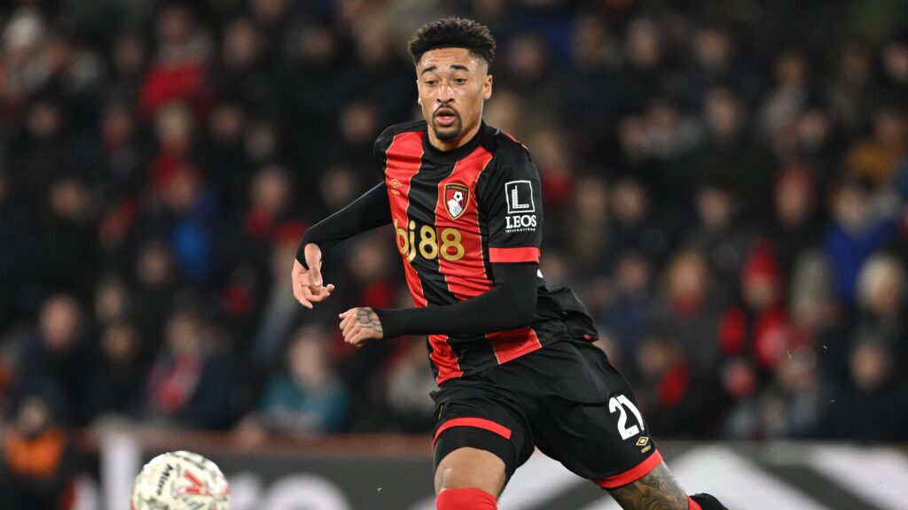 AFC Bournemouth v West Bromwich Albion - Emirates FA Cup Third Round