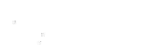 Sports Updates