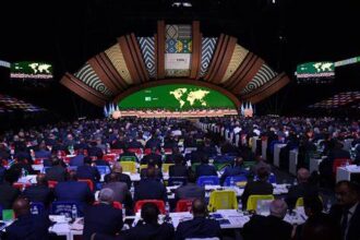 FIFA observes minute of silence for Wilberforce Mfum and Nana Pooley at 75th Congress in Paraguay