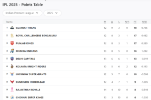 screenshot-221-300x198-1 IPL 2025 Updated Points Table