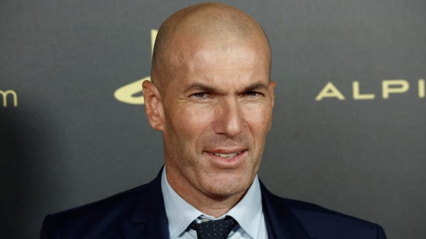 FILE: France's Zinedine Zidane in picture. (REUTERS)