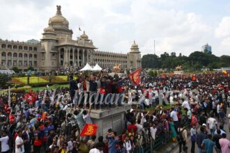 RCB stampede