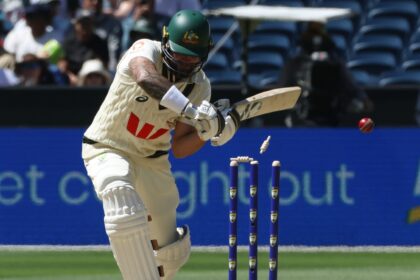 Greg Blewett, the former Test opener, sympathised with Di Venuto. (AP Photo)