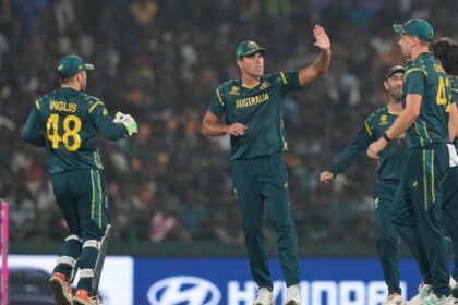 Australia T20 World Cup McGrath