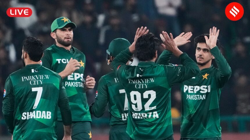 Pakistan vs Australia 3rd T20I Match Today Live Cricket Score Updates (AP Photo)
