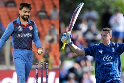Rashid Khan Harry Brook T20 World Cup