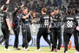 New zealand T20 World Cup Dale Steyn chokers