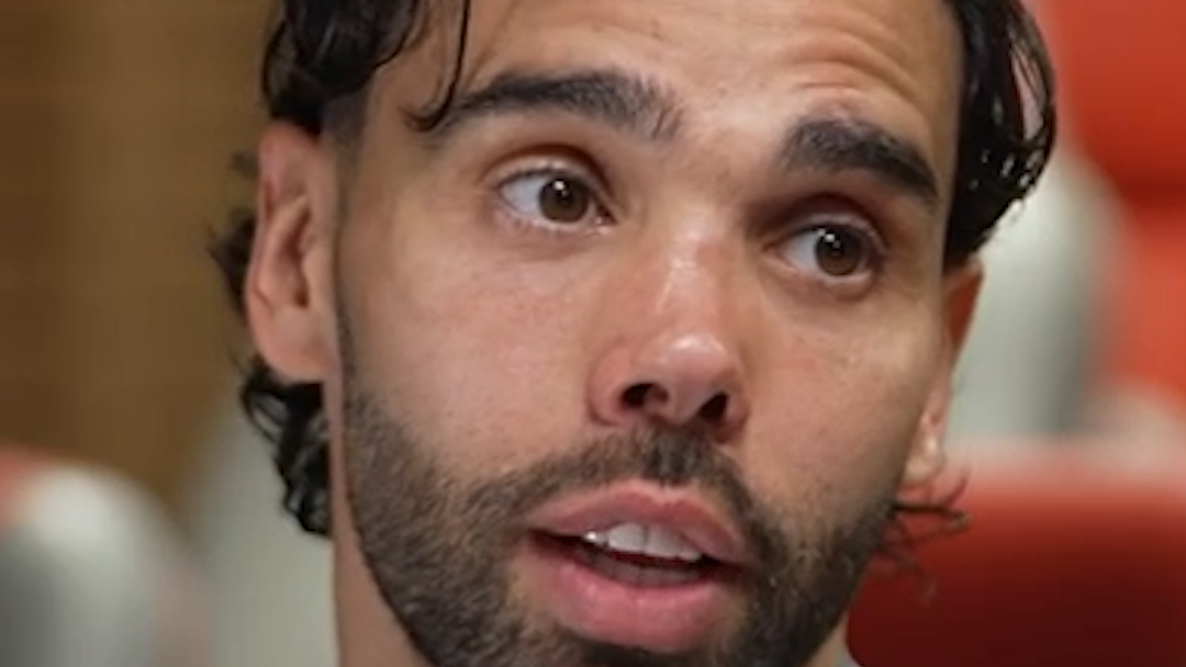 David Raya on Arsenal Clean Thumb.png