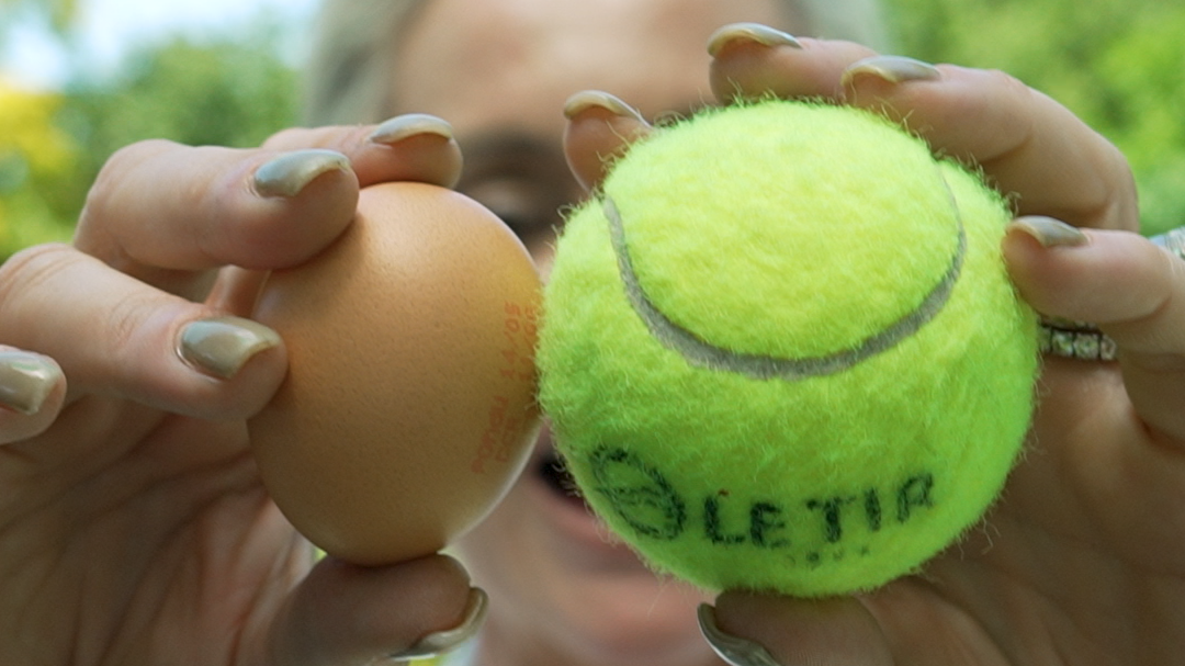 French Tennis Terms Clean Thumb vrt.png