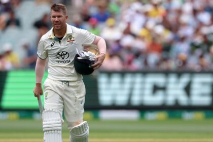 Australian cricketer David Warner in action. (FILE PHOTO: AP)