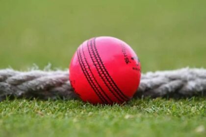 Pink ball
