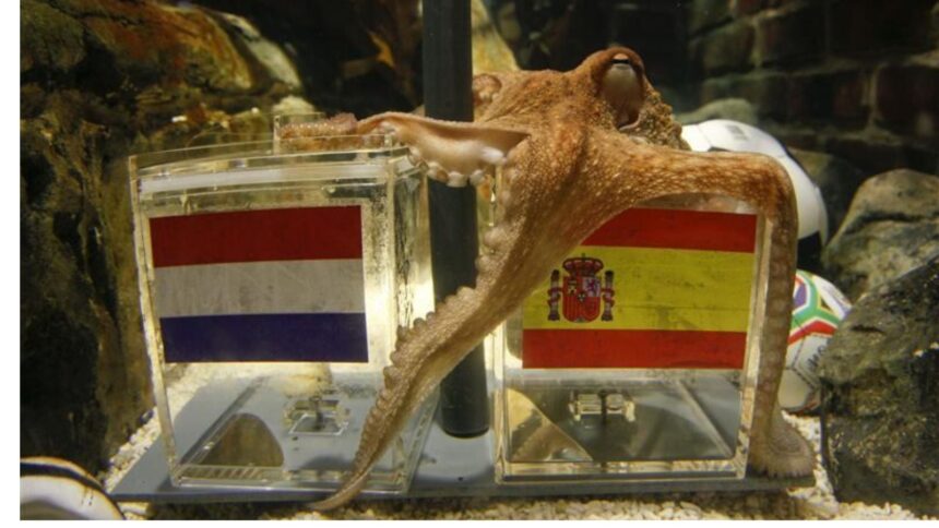 Octopus